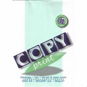 PAPIR A4 COPY PRINT 80G 500/1