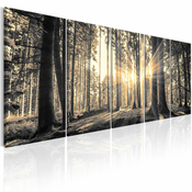 Slika - Shadow Guards 225x90