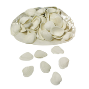 Rayher Školjke 250g, (20634018)