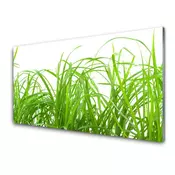 tulup.si Slika na akrilnem steklu Grass nature rastlin 4 obešalnika