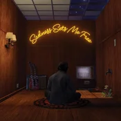 Gruff Rhys - Sadness Sets Me Free (Limited Edition) (Coloured) (LP)