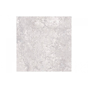 Pantheon Evolution Griseo 100x100