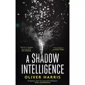 A Shadow Intelligence