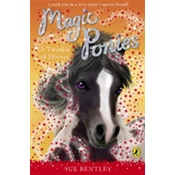 Magic Ponies: A Twinkle of Hooves