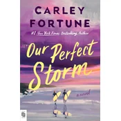 Our Perfect Storm