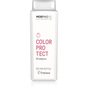 Framesi Morphosis Color Protect šampon za normalne in tanke lase za zaščito barve 250 ml
