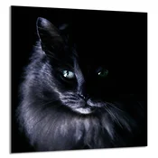 shumee STEKLENA PLOŠČA ZA KUHINJO 60x65 Cat