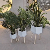 Okrasni lonec White Diamond fi 25 cm - bela