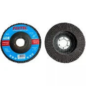 FIXTEC Lamelarni brusni disk G80, Crni