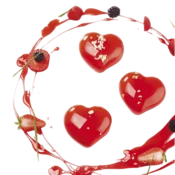 PAVOFLEX PAVONI PASSION 300x400 mm