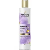 Pantene Shampoo Miracles Soft & Silky 250 Ml