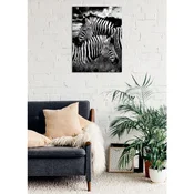 WallXpert slika na platnu DC374, dve zebre, crno-bela fotografija, 30 x 40 cm