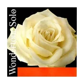 Struna Wondertone Solo violina 3D Pirastro