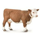 Krowa rasy Hereford
