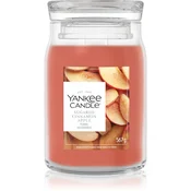 YC Signature Sveča Velika Sugared Cinnamon Apple