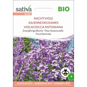 Sativa Bio dvoletna cvetlica nočna vijolica