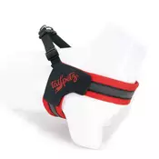 Paws & Whiskers Am za pse V-Harness, Crveni