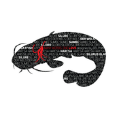 Nalepka Delphin Cat Fish Words
