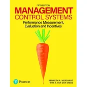 Management Control Systems