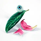 DELS - Petals Have Fallen (Limited Edition) (LP)