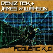 Deniz Tek & James Williamson - Acoustic K.O. (EP)