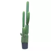 KAKTUS V LONCU V145cm