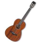Akustična gitara Ibanez - AVN9, Open Pore Natural