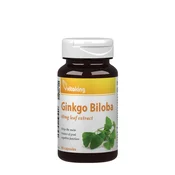 Vitaking - Ekstrakt listov ginka 60 mg, 90 kapsul