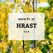 Bachove kapljice 22, Hrast - Oak, 10 ml
