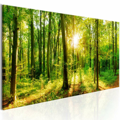 Slika - Green Magic 120x40