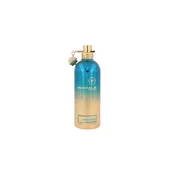 Montale Paris Aoud Lagoon Eau de Parfum 100ml