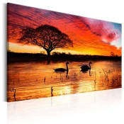 Slika - Swan Lake 120x80