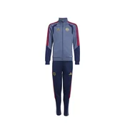 ADIDAS PERFORMANCE Športna trenirka FCB  opal / temno modra / rdeča