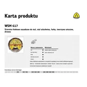 Lepezasti Brusni Kolutovi LS309X 125x20mm GR60 M14 277019