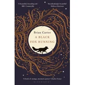 Black Fox Running