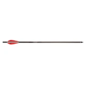 Barnett Bolt Carbon Headhunter Lighted 20”