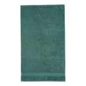 Temno zelena frotirna bombažna brisača 50x85 cm Anti-Bacterial – Catherine Lansfield