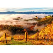 Enjoy - Puzzle V vinogradih - 1 000 kosov