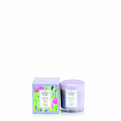 Ashleigh & Burwood LAVANDA & BERGAMOT - dišeča sveča v steklu PRIŠLJEN DOM, 42 ur