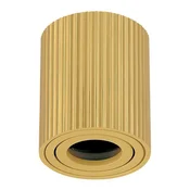 Plafonska lampa AFS118-1C SG
