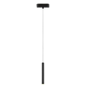 Rabalux 70132 - LED Zatemnitveni lestenec na vrvici za 1-fazni tračni sistem LiTrack LED/5W/24V