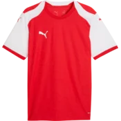 Puma Dres teamFINAL26 Knit