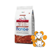 Monge Mini