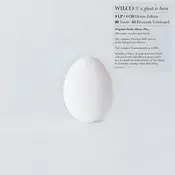 Wilco - A Ghost Is Born (Reissue) (Box Set) (9 LP + 4 CD)