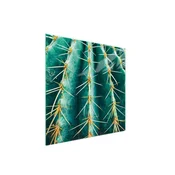 shumee Steklena zaščita za kuhalno ploščo 50x52 Cactus