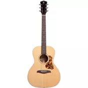 Levinson LG243 NS Canyon Greenbriar akusticna gitara