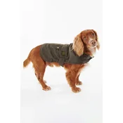 Barbour plašč za psa