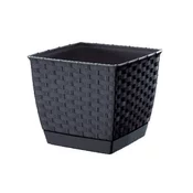 Prosperplast Cvetlični lonec RATOLLA SQUARE 19x19x15,9cm ANTR (S433) s skledo