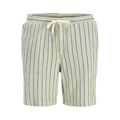 Jack & Jones Muški šorts Jaiden, Zeleni