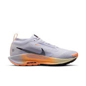 Sneakers Nike Pegasus Trail 5 Gore-Tex Ghost/ Black-Malt-Orange Pulse EUR 37.5